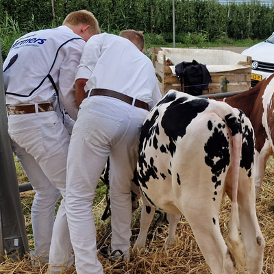 HBO Dier- en Veehouderij