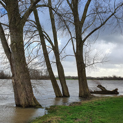 HBO Land- en Watermanagement